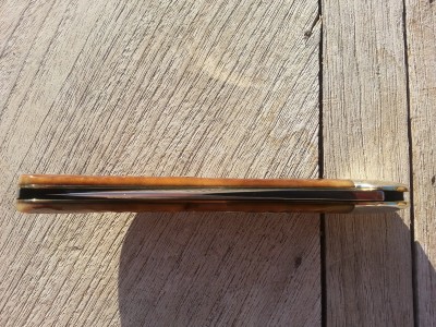 6100SAB Saddlehorn_top view.jpg
