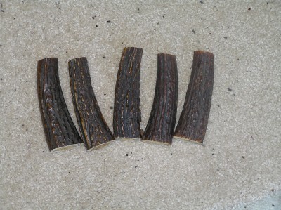 Great Quality Sambar Stag Tapers OLD STOCK