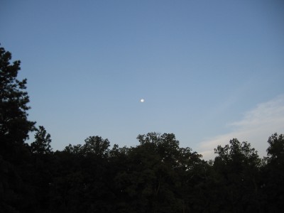 Moon @ Day-Break.JPG