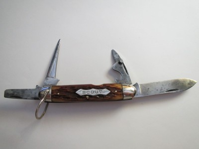 Robeson Scout 006.JPG