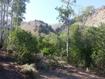 The canyon.jpg