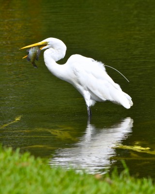 DSC_0228.jpg