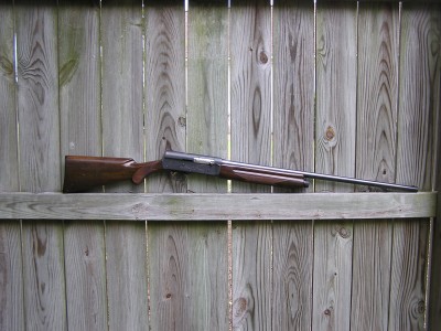 American Browning A-5 (0).JPG