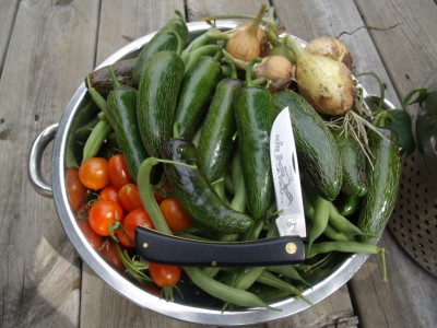 Aug Harvest 002.jpg