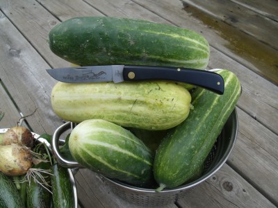 Aug Harvest 003.jpg