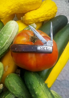 2013-08-13_07-45-19_266.jpg