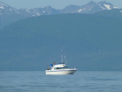Bayliner on the troll.JPG