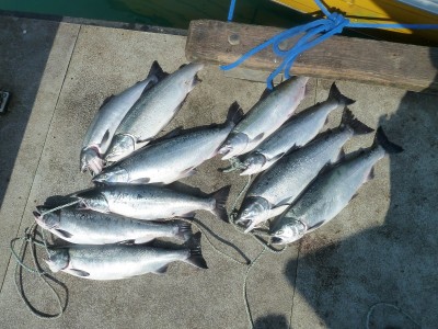 10 Coho on the dock.JPG