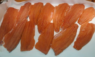 12 fillets ready to process.jpg