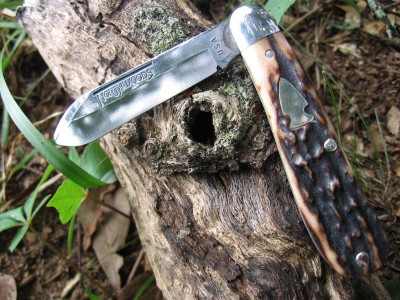 Northwoods Stag Burnside Jack (D).JPG