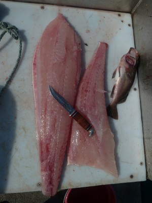 Fillets from one side