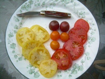 DSCN6245.JPG