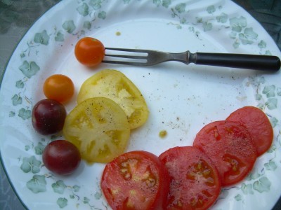 DSCN6246.JPG