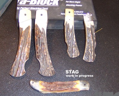 Stag Work in Progress 11-07 copy.jpg