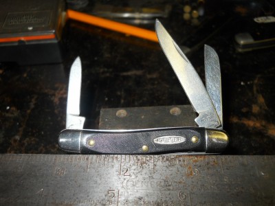 small ranger stockman.JPG