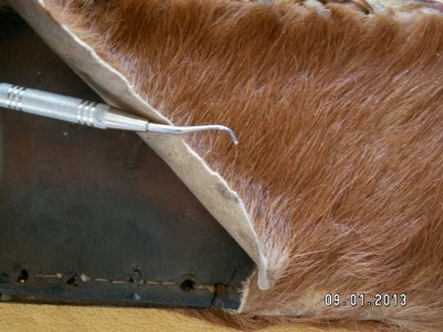 PICT0004 (800x600).jpg
