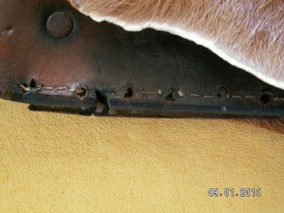 PICT0005 (800x600).jpg