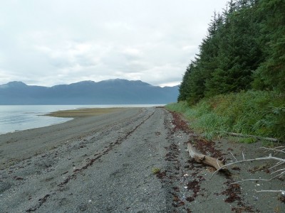 Admiralty Island shoreline.JPG