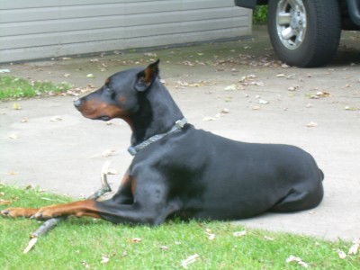 DSCN6257.JPG