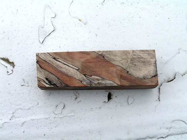 spalted maple