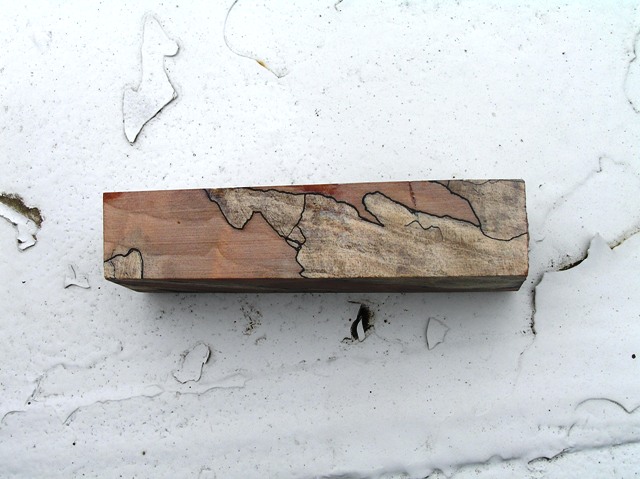 spalted maple