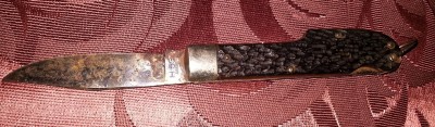 IMG_20130919_070242.jpg