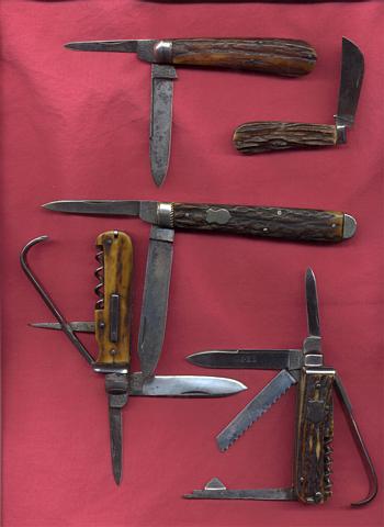 Old stags 1.jpg
