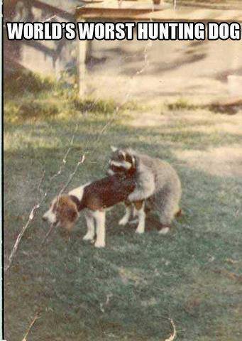worst hunting dog.jpg