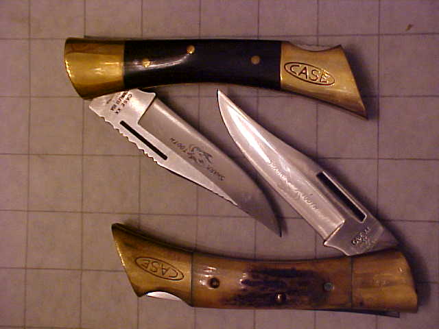 CaseSharksTooth2.JPG