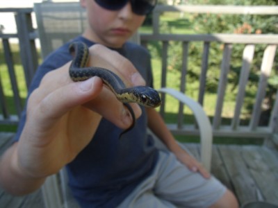 Boy with snake 002.jpg