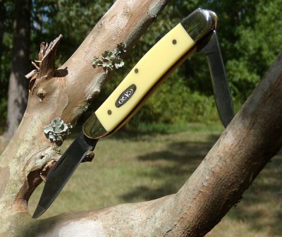 Case Yellow CV Penknife 1.jpg