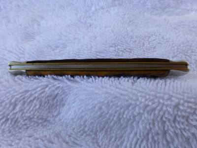 P1000629 (Large).JPG