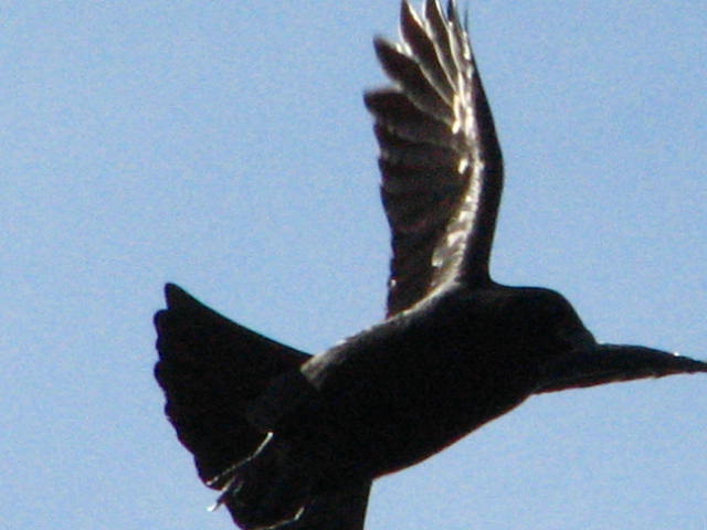 IMG_1882.JPG