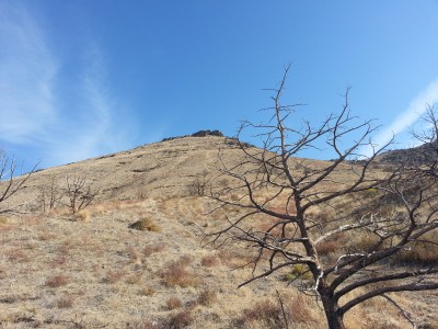 The long steep walk up the hill.jpg