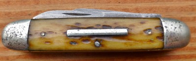 P1000693 (Large).JPG