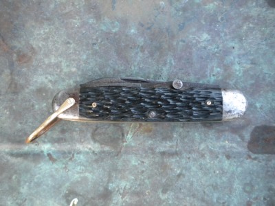 robeson scout 001.JPG