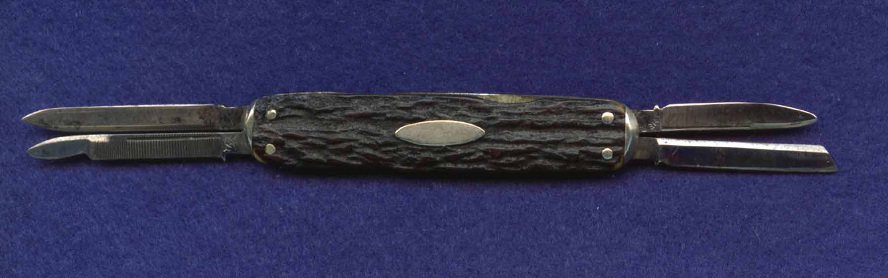 343164B.jpg