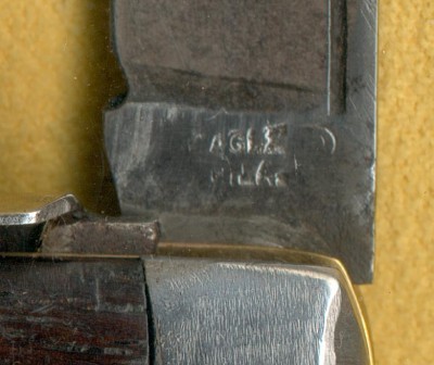 Eagle HJtang.jpg
