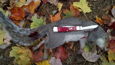 IMG_20131027_171059_515.jpg