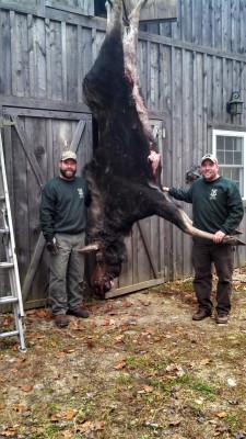 John's moose.jpg