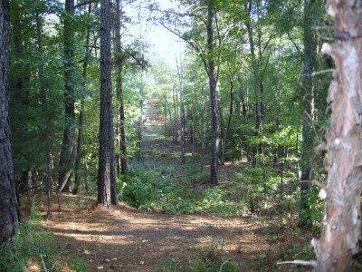 IMG_0107.JPG