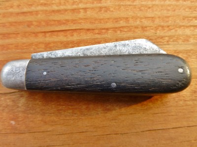 P1000737 (Large).JPG