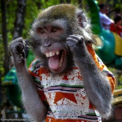 Happy Monk !!!.jpg
