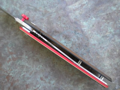 snakehead 012.JPG