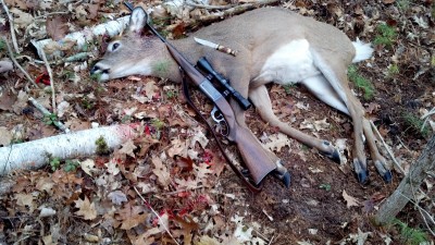 IMG_20131109_151053_392.jpg