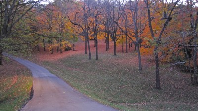 IMG_2255.JPG