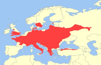 Dormouse Habitat.jpg