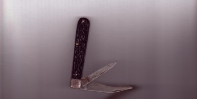 003.jpg