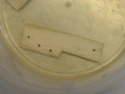 Picture of the scales in Plan A chamber. No bubbles.