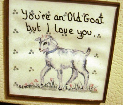 Old Goat.JPG